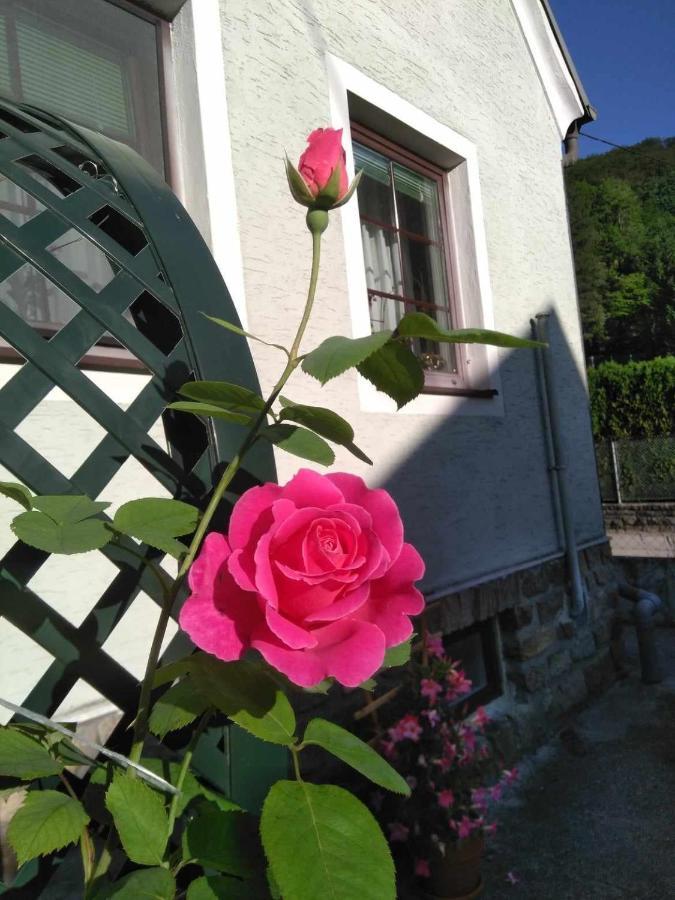Zu Hause Am Bach Apartment Aggsbach Exterior foto
